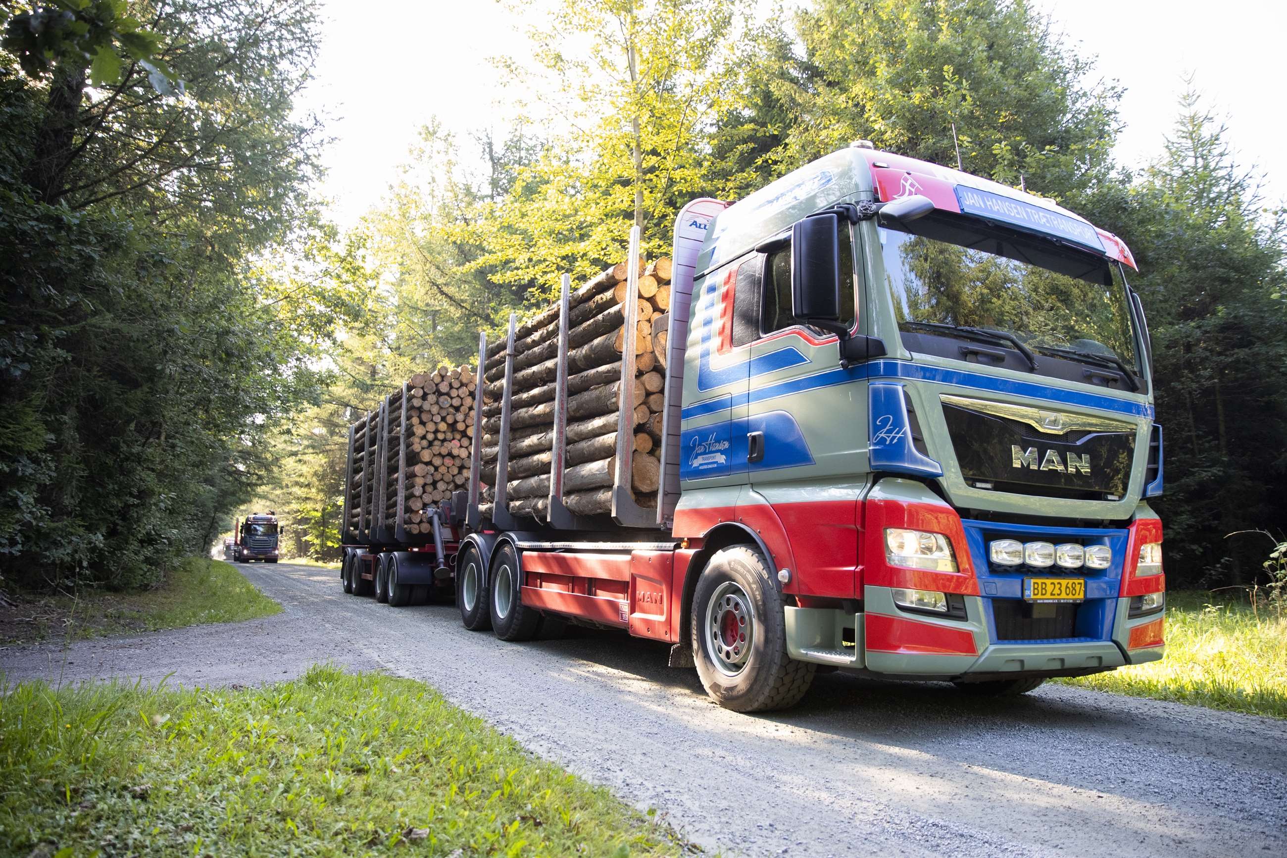 Transport af træstammer med lastbil